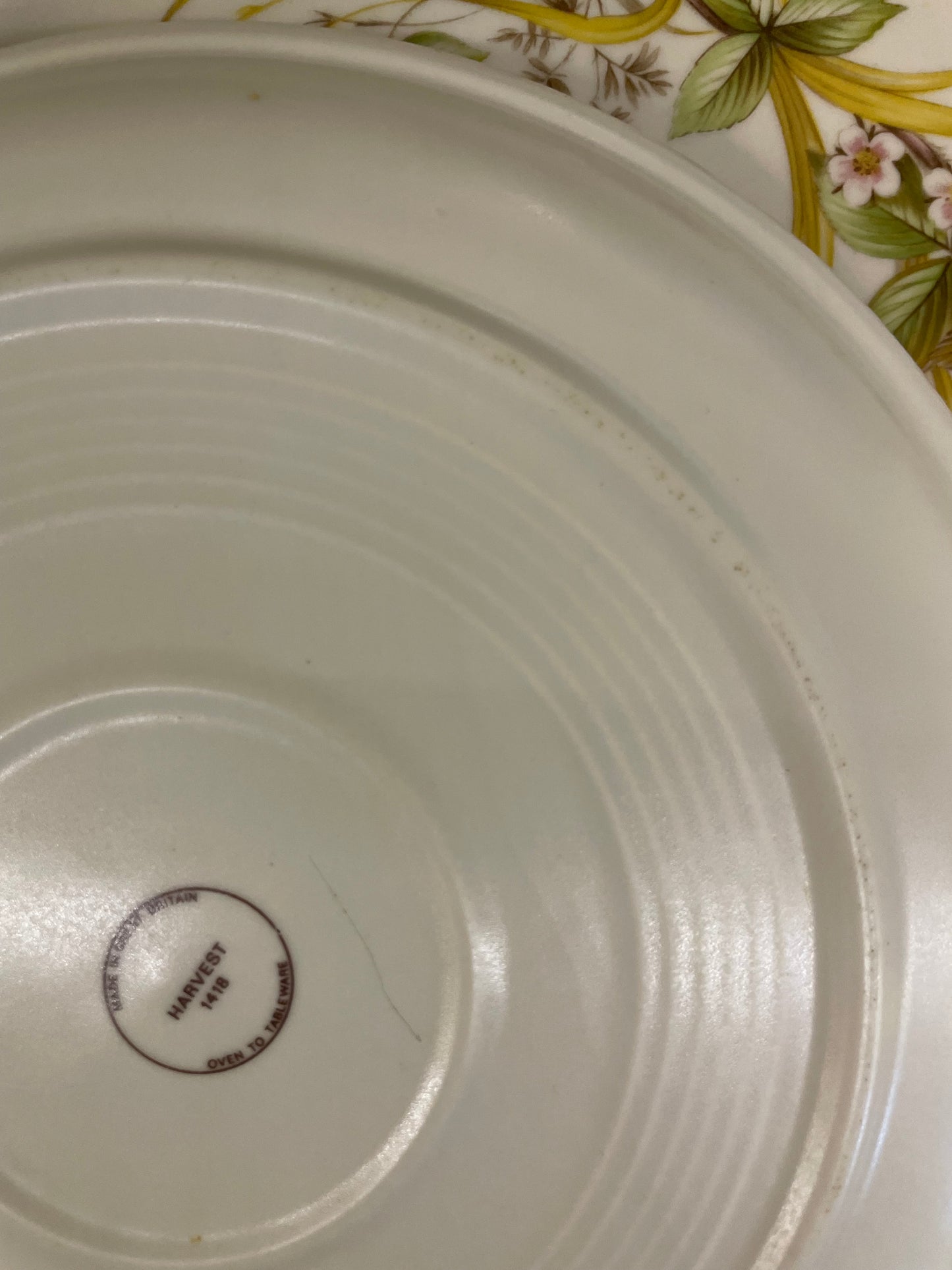 Set of 11 Marks & spencer “ harvest collection’s medium plates,England