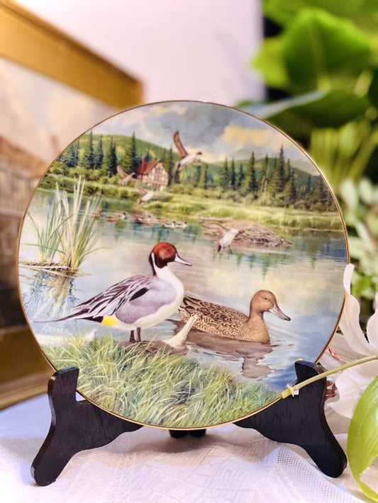 Vintage England 1986- THE PINTAIL Ducks - Decorative Wall Plate 8.5 inches - SUNSET KITCHEN