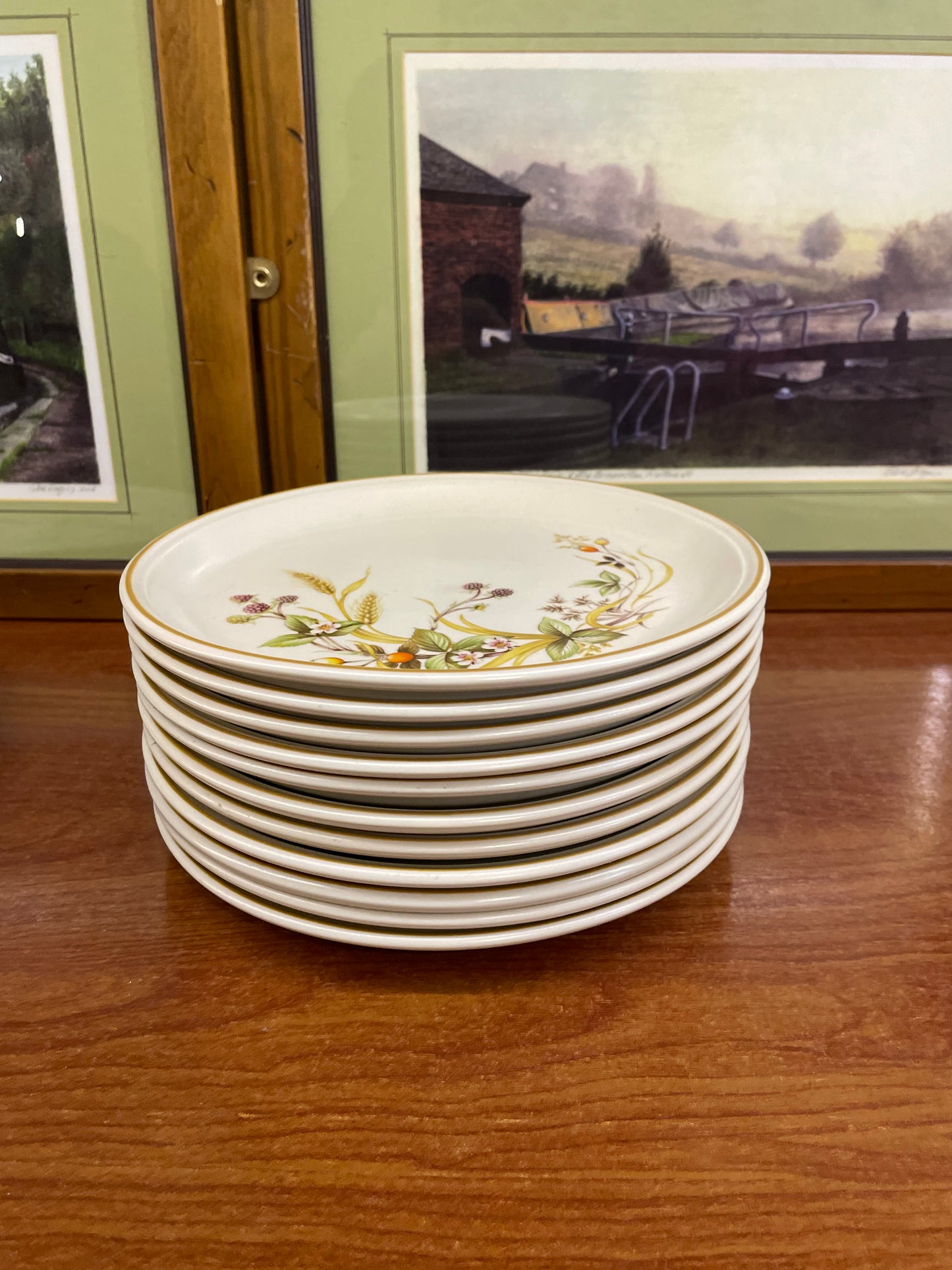 Set of 11 Marks & spencer “ harvest collection’s medium plates,England