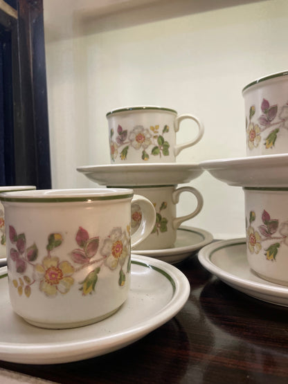 Set of 6  Marks & Spencer “ autumn leaves” collection’s cup & saucers , Ceramic, England