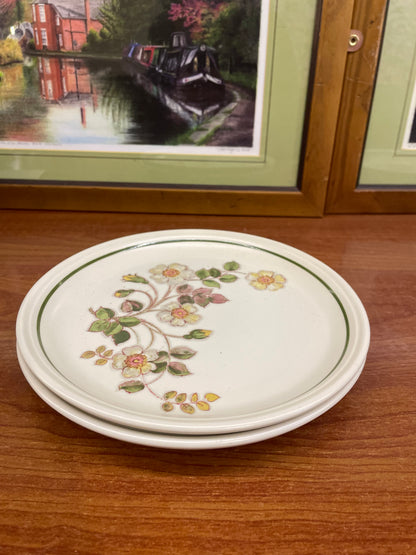 “ autumn leaves” collection’s 2 dinner plates , 1400 each, England