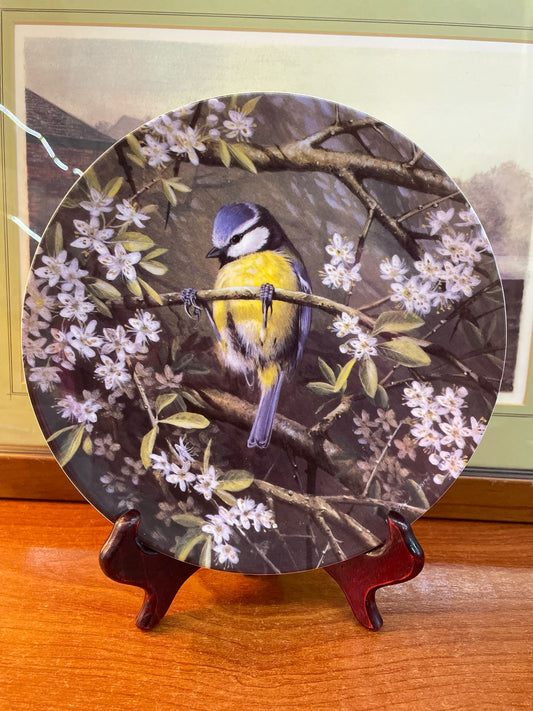 Danbury Mint Birds in Decorative Collector Plates, wall plate 8.5 inches