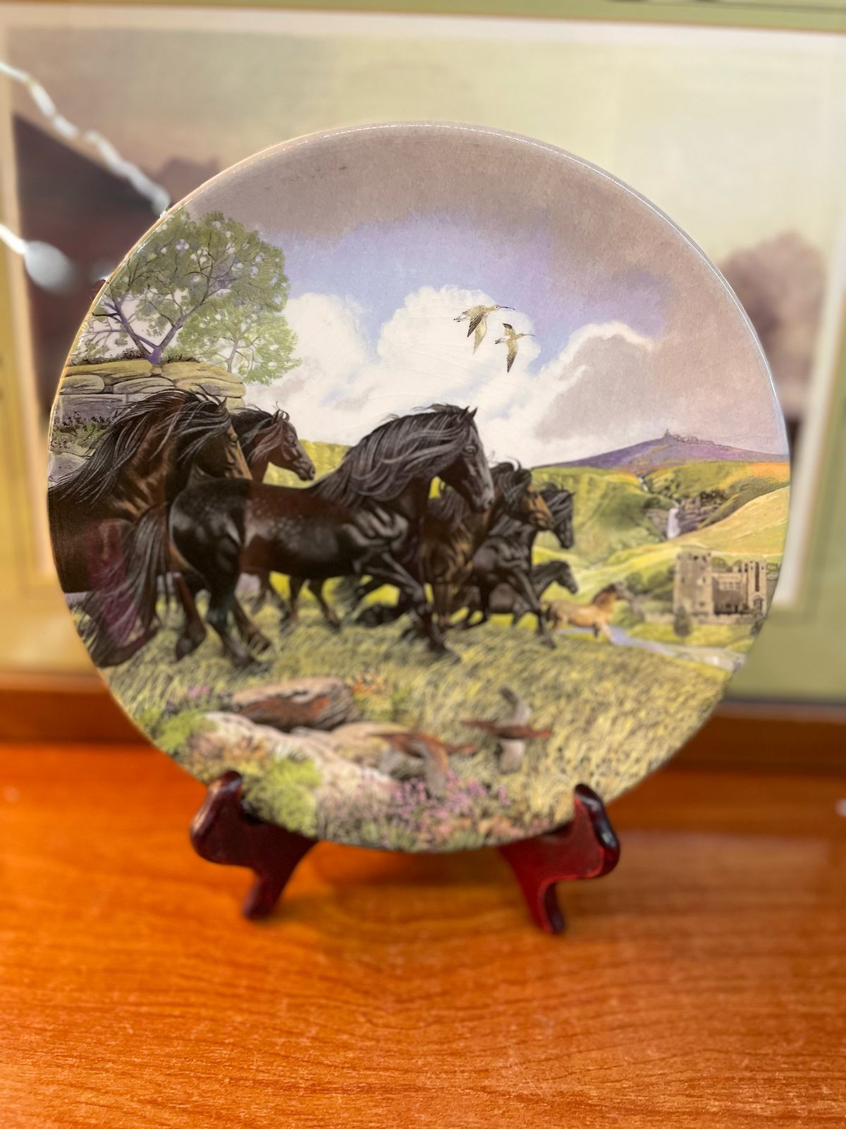 Davenport dales ponies from Britains Wild ponies, wall plate, 8.5 inches