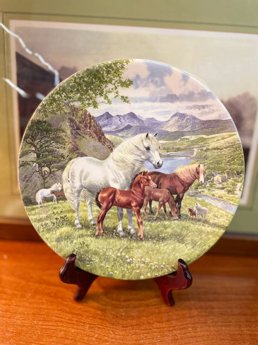 vintage 1990 davenport pottery Welsh mountain ponies porcelain plate, wall plate, 8.5 inches